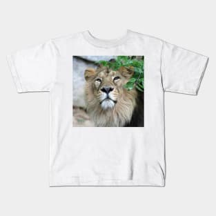 Lion 002 Kids T-Shirt